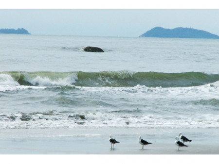   Parabéns pedra que surge  